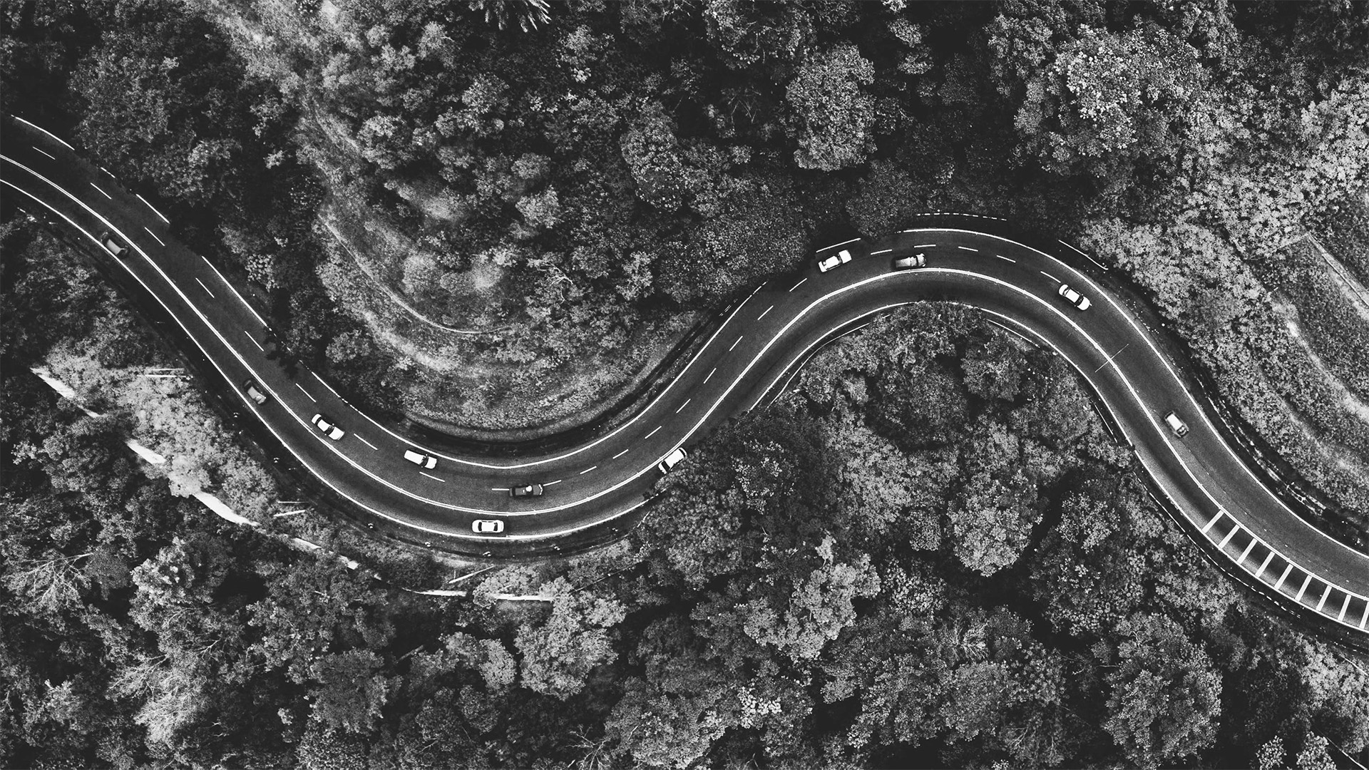 Your roadmap from start-up to annual report