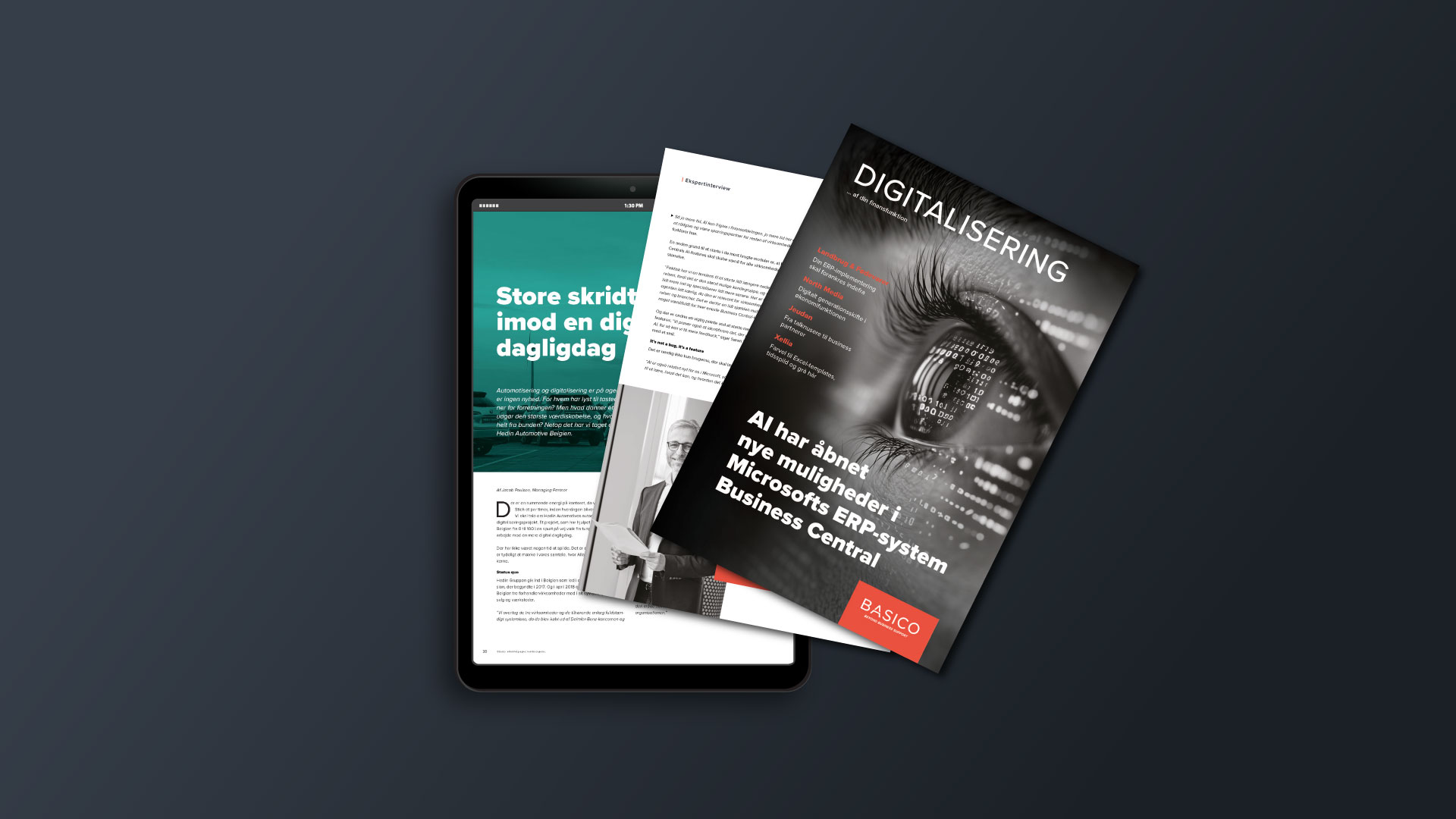Basico Digitaliseringsmagasinet 2